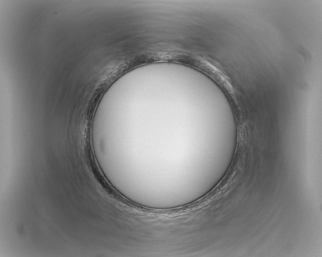 X0000116550018200912101012