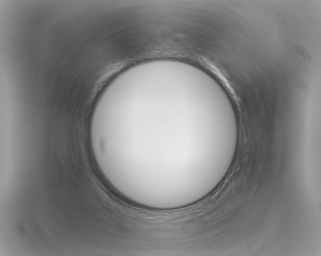 X0000116550019200912101012