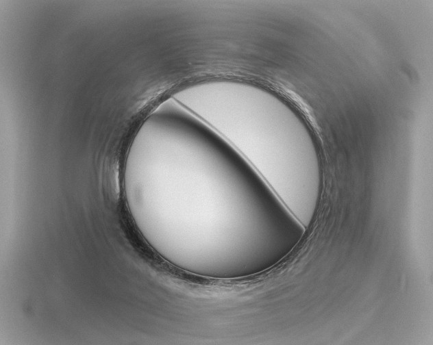 X0000116550020200912101012