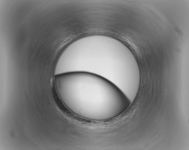 X0000116550024200912101012