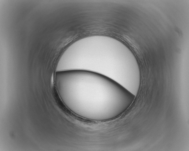 X0000116550028200912101012