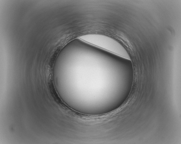 X0000116550029200912101012