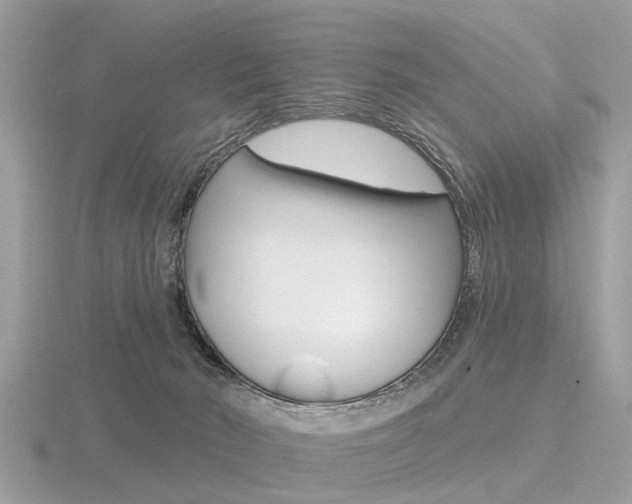 X0000116550030200912101012