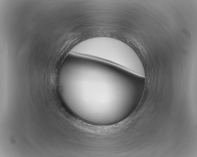 X0000116550035200912101012