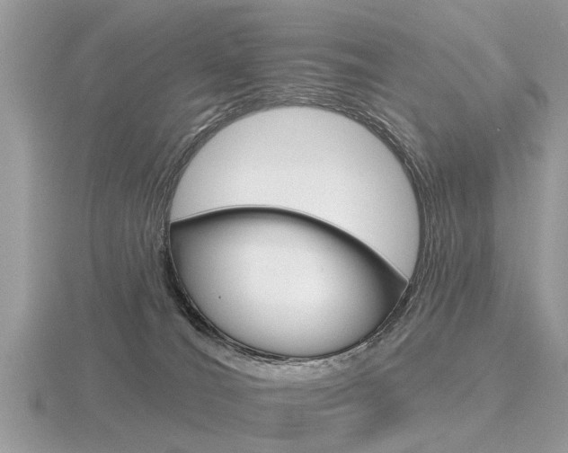 X0000116550036200912101012
