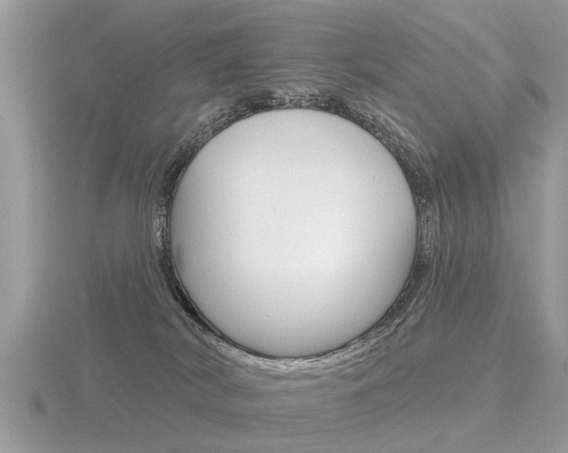 X0000116550038200912101012