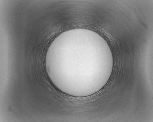 X0000116550039200912101012