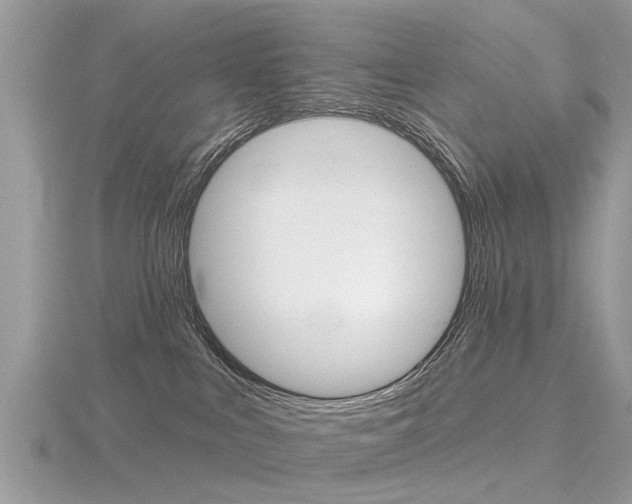 X0000116550043200912101012