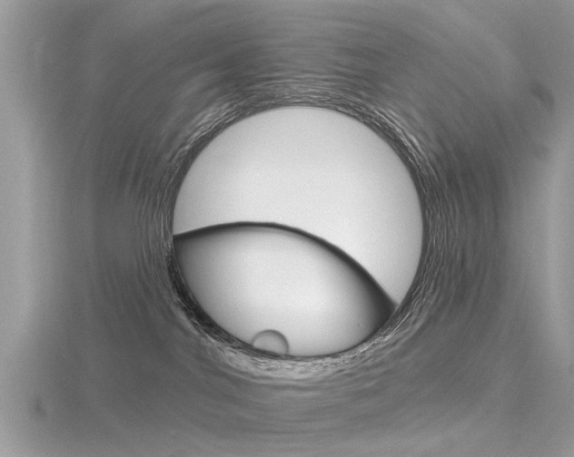 X0000116550044200912101012