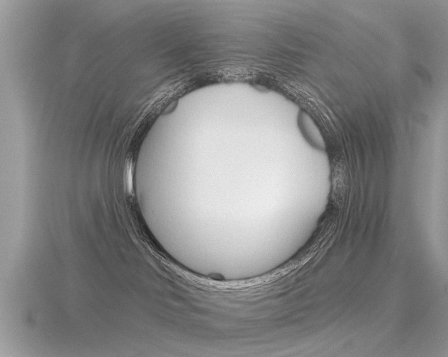 X0000116550046200912101012