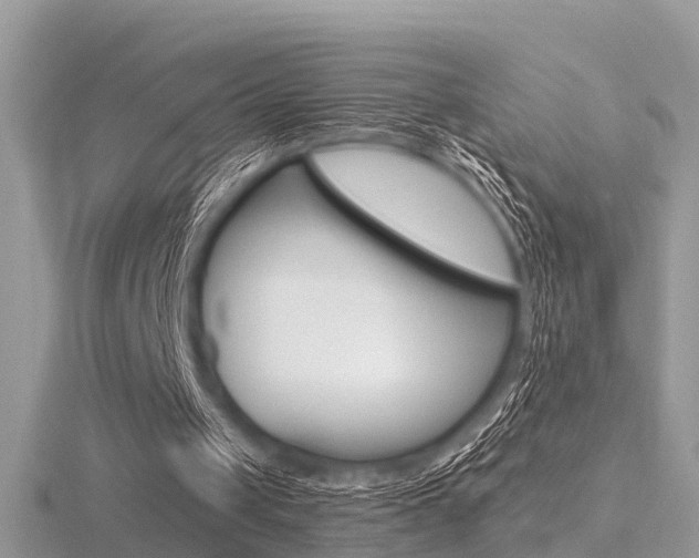 X0000116550049200912101011