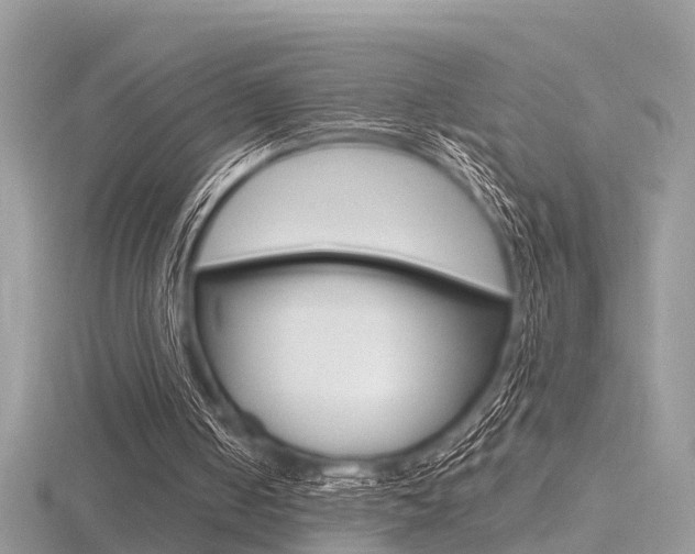 X0000116550050200912101011