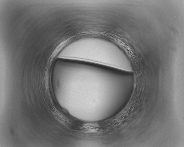 X0000116550051200912101011