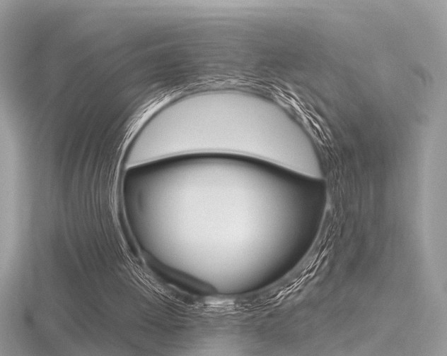 X0000116550052200912101011