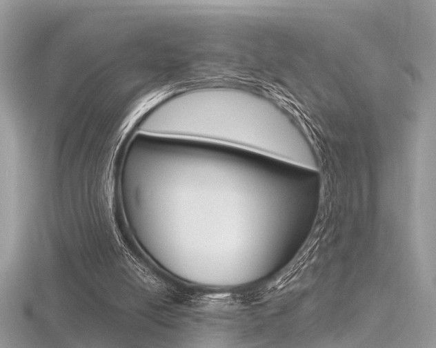 X0000116550054200912101011