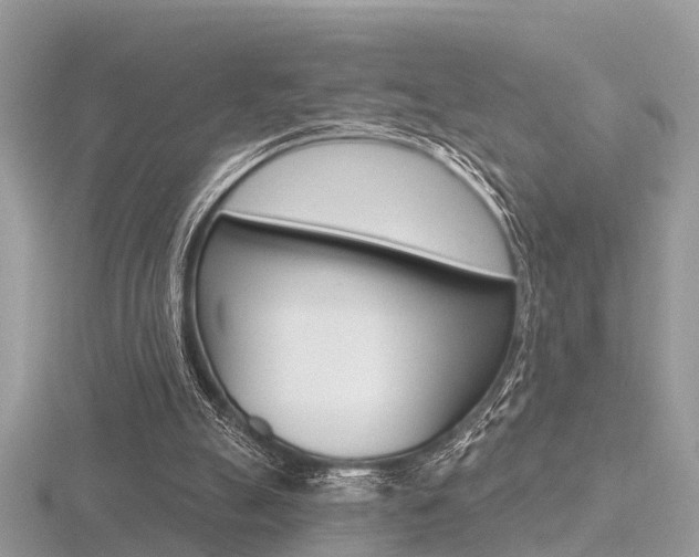 X0000116550055200912101011