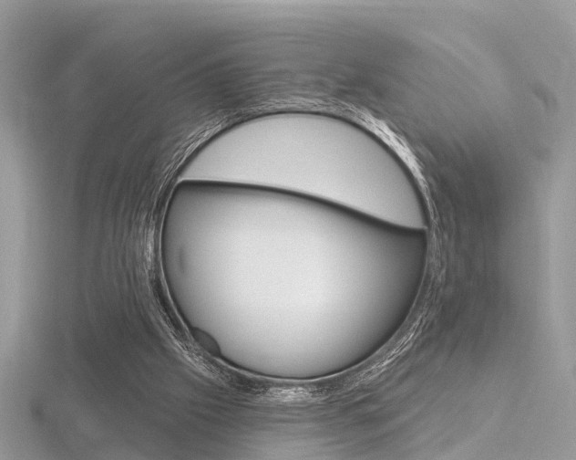 X0000116550057200912101011