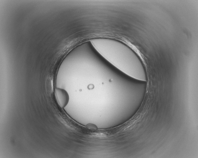 X0000116550061200912101011