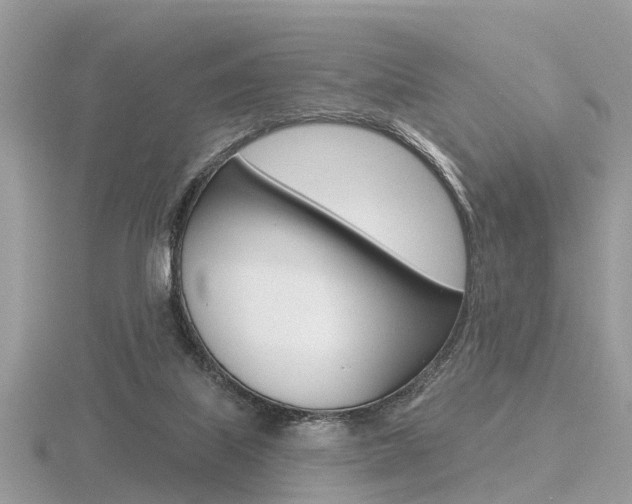 X0000116550067200912101011