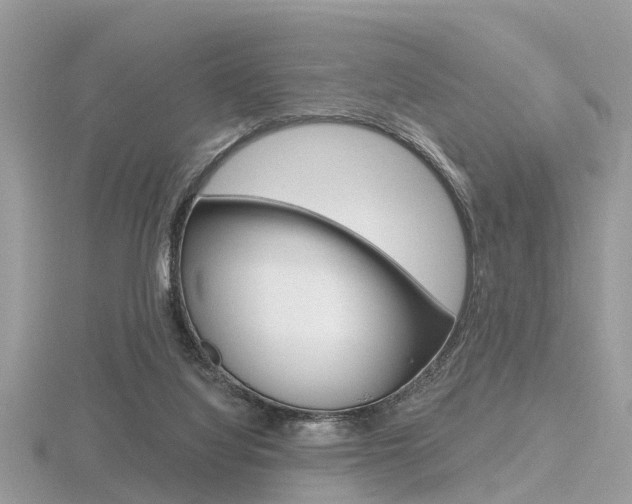 X0000116550068200912101011