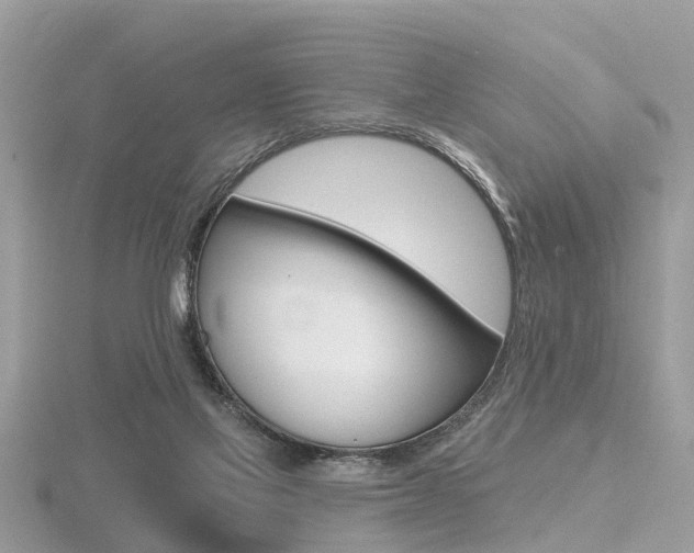 X0000116550069200912101011