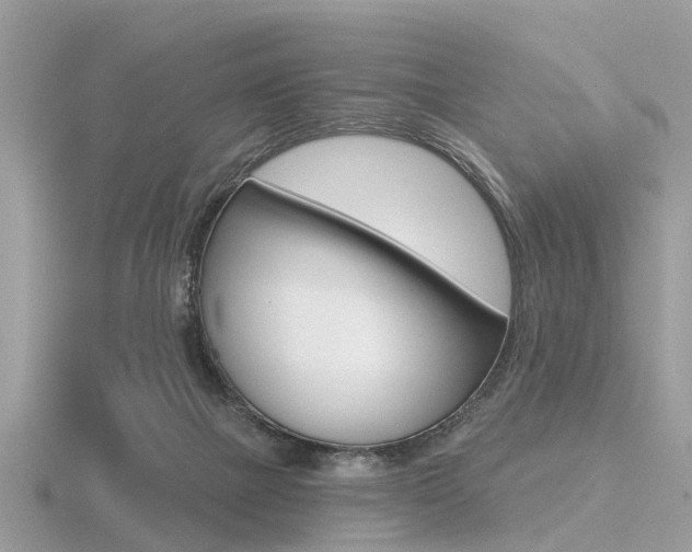 X0000116550073200912101011