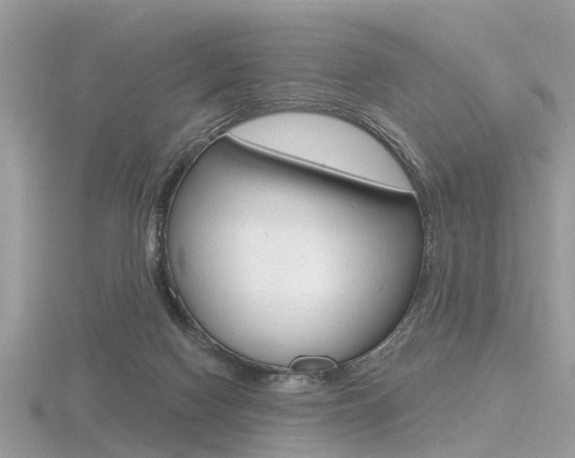 X0000116550074200912101011