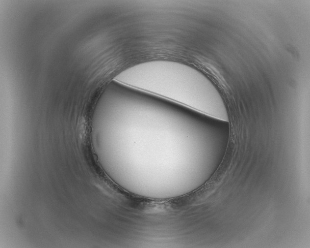 X0000116550077200912101011