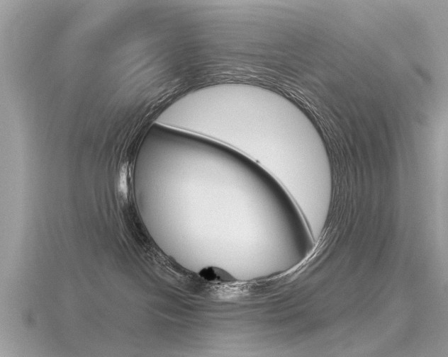 X0000116550094200912101012