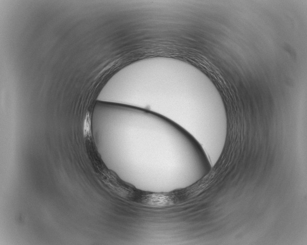 X0000116550095200912101012