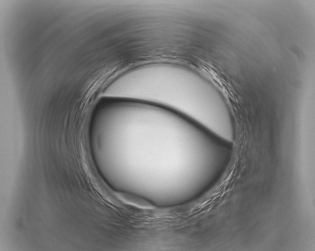 X0000116550097200912101011