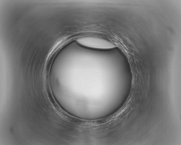 X0000116550101200912101011
