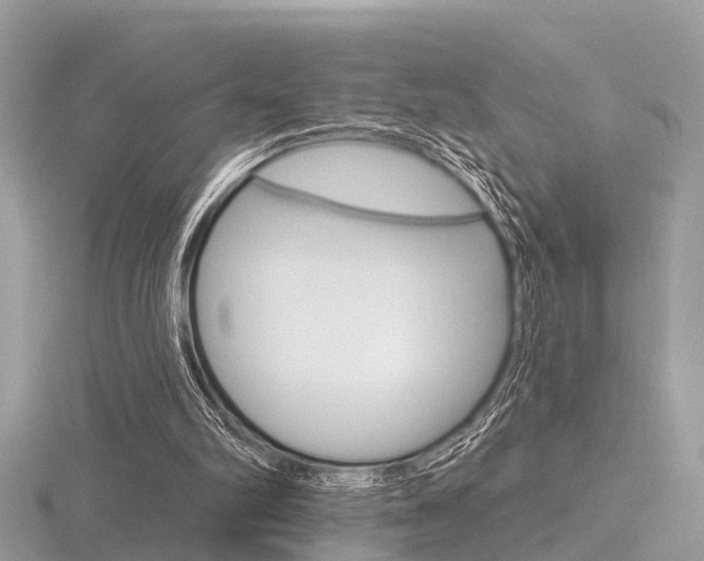 X0000116550102200912101011