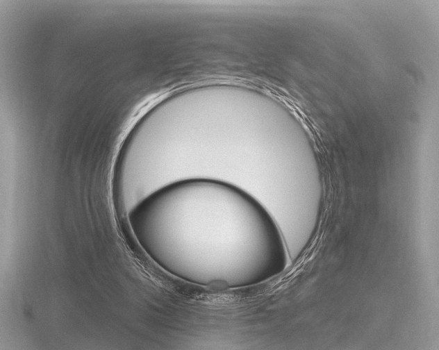 X0000116550104200912101011