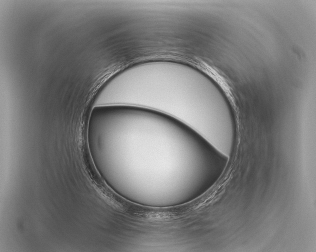 X0000116550105200912101011