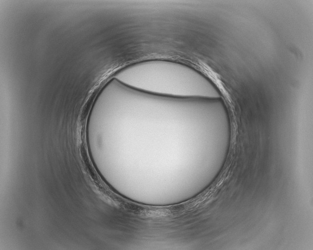 X0000116550106200912101011