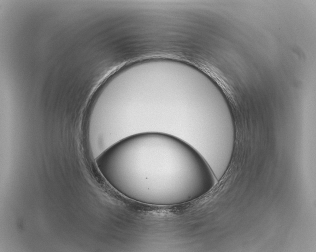 X0000116550112200912101011
