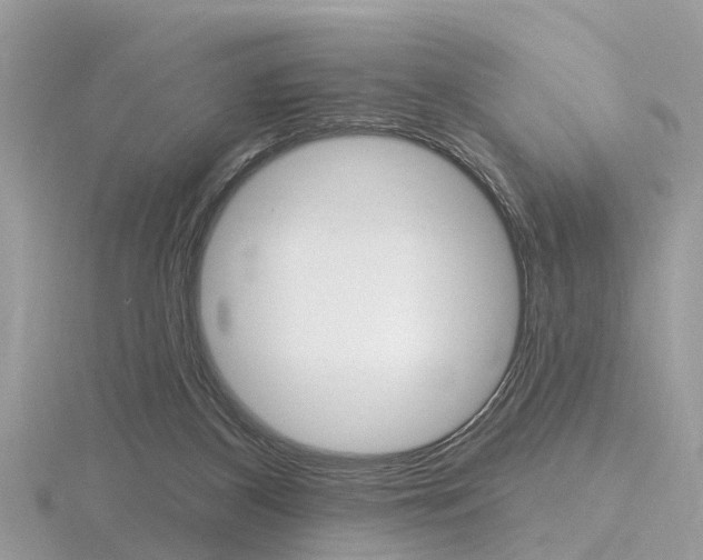 X0000116550116200912101011