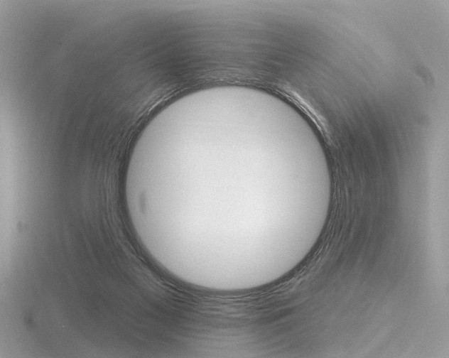 X0000116550117200912101011