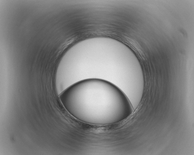 X0000116550120200912101011
