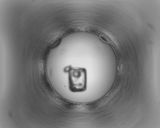 X0000116550121200912101011