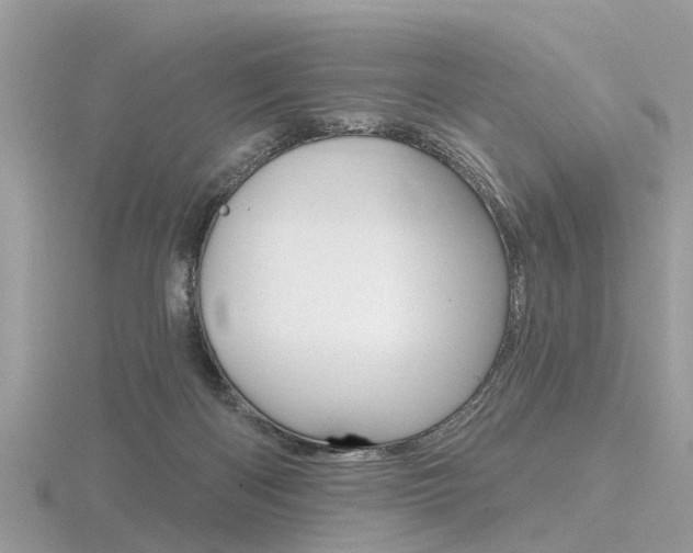 X0000116550122200912101011