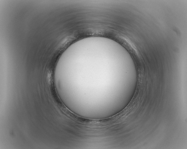 X0000116550123200912101011