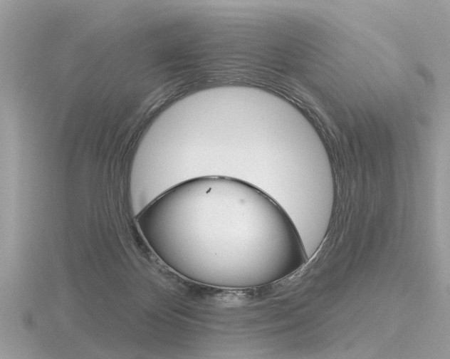 X0000116550124200912101011