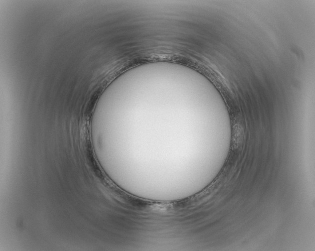 X0000116550126200912101011
