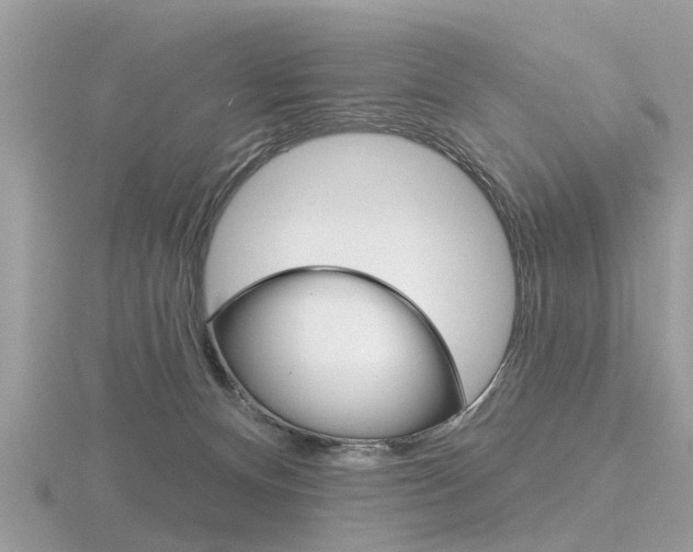 X0000116550128200912101011