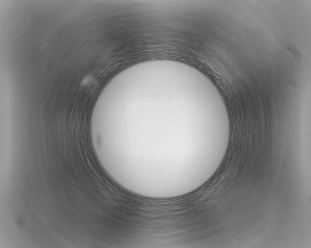 X0000116550129200912101011