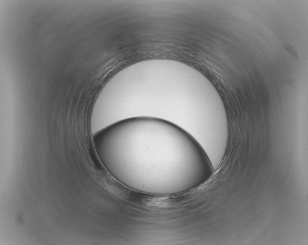 X0000116550132200912101011