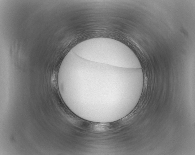 X0000116550134200912101011