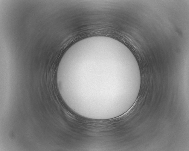 X0000116550136200912101011